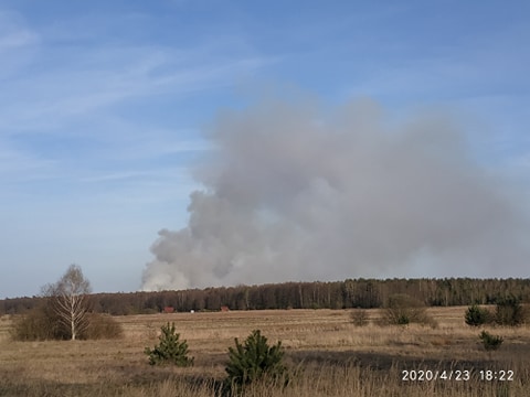 Płonie las w miejscowości Teodorów [video]