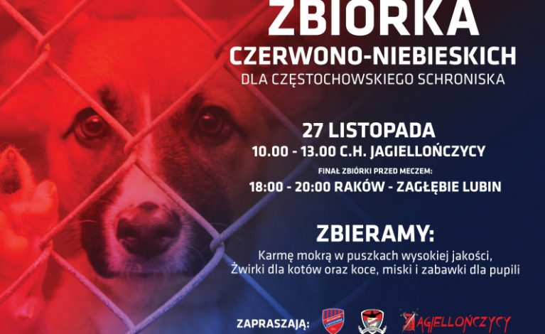 Kibice Rakowa Częstochowa i klub organizują zbiórkę dla schroniska
