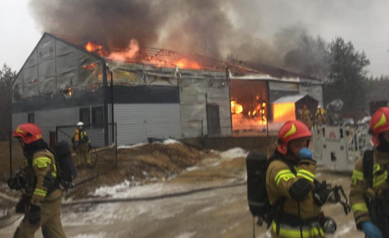 Pożar zakładu produkcyjnego w Wyrazowie. Strażacy walczą z ogniem