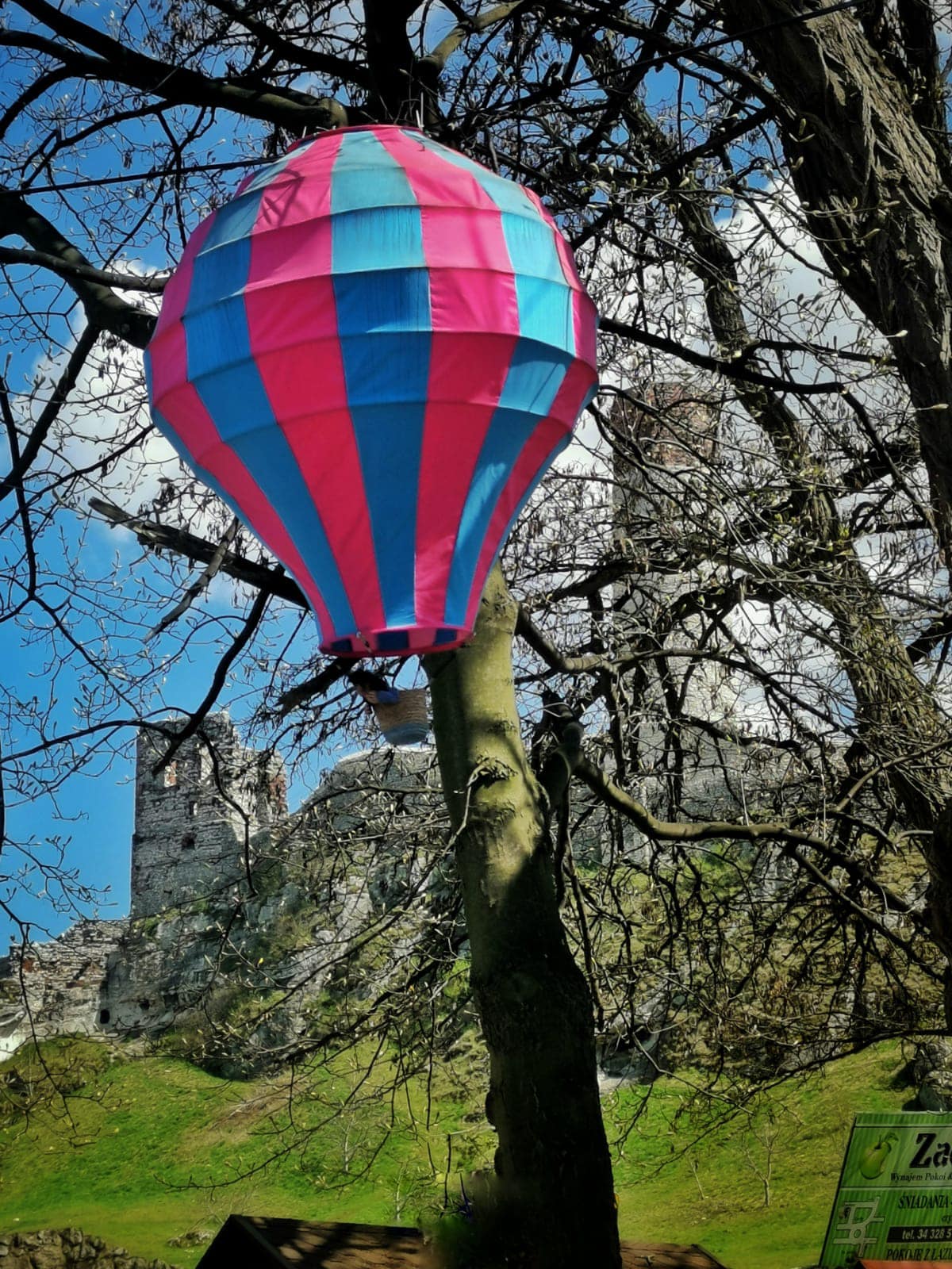 Piękne balony znów zdobią drogę do olsztyńskiego zamku