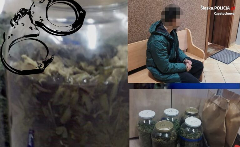 Narkotykowy specjał. 23-latek z gminy Mstów robił nalewkę… z marihuany