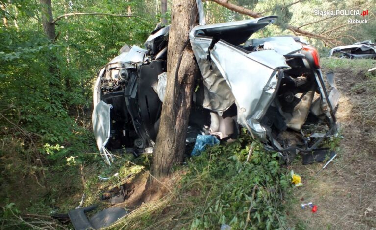 Groźny wypadek w Iwanowicach Dużych. 19-letni kierowca i 18-letni pasażer w szpitalu