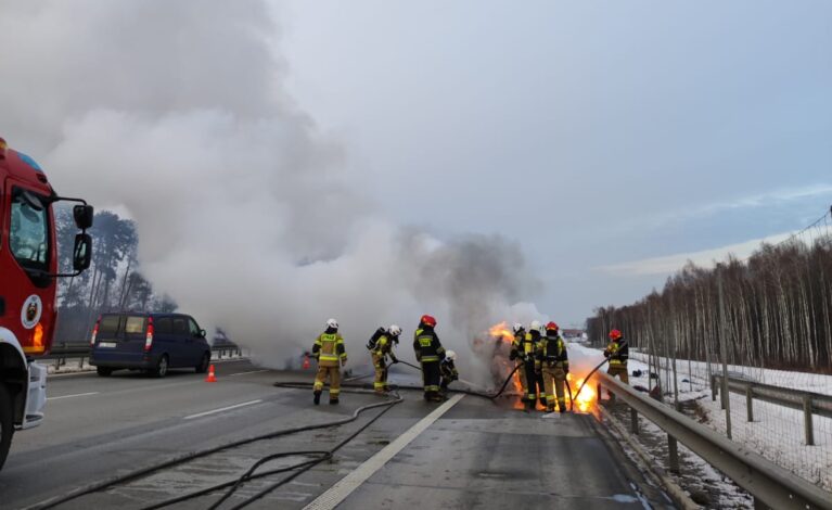 Pożar samochodu osobowego na A1 na wysokości Kruszyny. Auto doszczętnie spłonęło! Zobacz zdjęcia