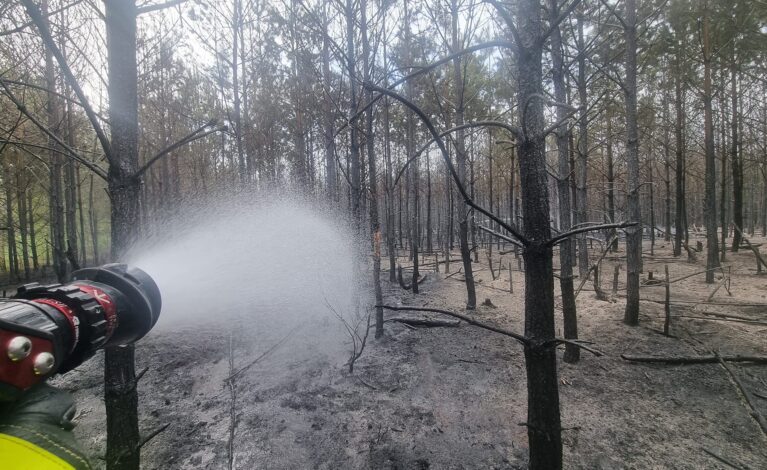 Strażacy ostrzegają przed zagrożeniem pożarowym w lasach
